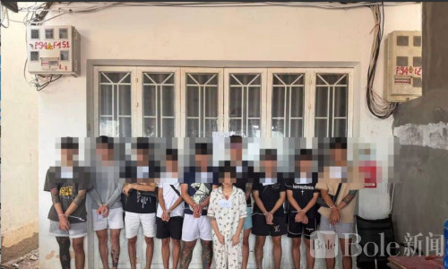 柬埔寨重拳清剿电诈据点，26名越南人2名中国人落网
