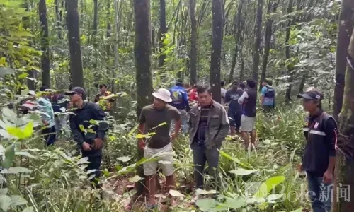 泰国震惊命案！66岁老汉遭毒瘾男残杀弃尸橡胶园
