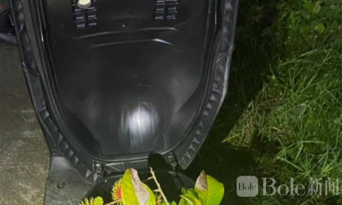泰国3少年翻墙偷荔枝被抓1人，赃物藏摩托车座底