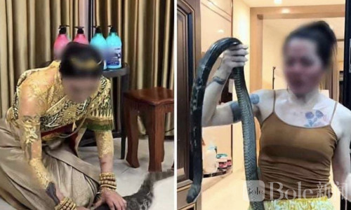 柬埔寨网红危险拍摄惹争议！徒手玩蛇鳄恐误导公众