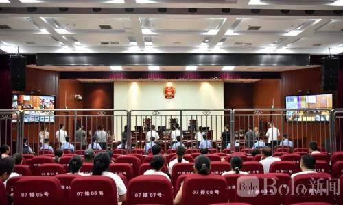 11人偷渡老挝卷入“杀猪盘”诈骗案！庭审现场全部认罪认罚