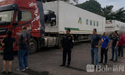 中国货车违规南下泰国拉水果！5辆集装箱车被查扣