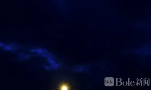 怀孕7个月女教师遭枪杀！菲律宾一校长涉嫌买凶灭口被捕