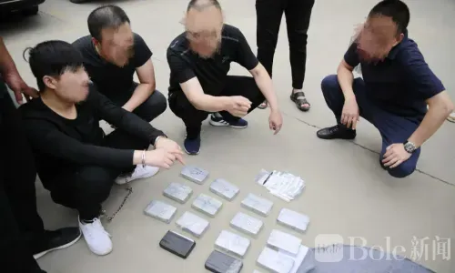 潜逃8年终落网！中缅跨国毒枭“老树皮”被抓捕归案
