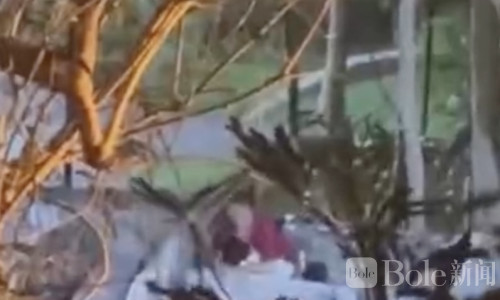 深夜公园石桌旁惊现不雅举动！芭堤雅视频疯传全网