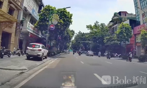 越南司机逆行又占道停车！险些迎面相撞处罚曝光
