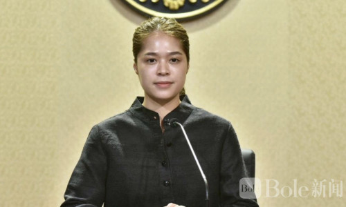 泰国严管大麻行业！普吉533家商店许可证违规遭调查