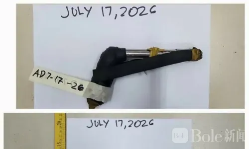 奎松市“砸车盗窃”嫌犯落网！身上竟藏改装钢笔枪
