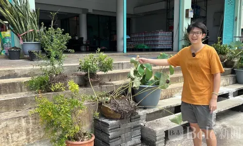 凌晨3点38分惊险画面曝光！巨型轮胎飞越马路连撞多物