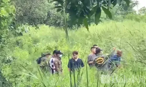 恶臭飘出引居民查看！泰国荒地芦苇丛惊现腐烂男尸