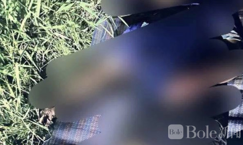 柬埔寨36岁男子涉嫌砍杀妻子，逃亡途中车祸死亡