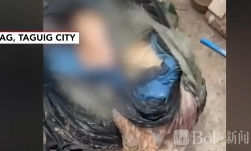蓝色行李箱藏女尸！菲律宾河沟弃尸案3人落网